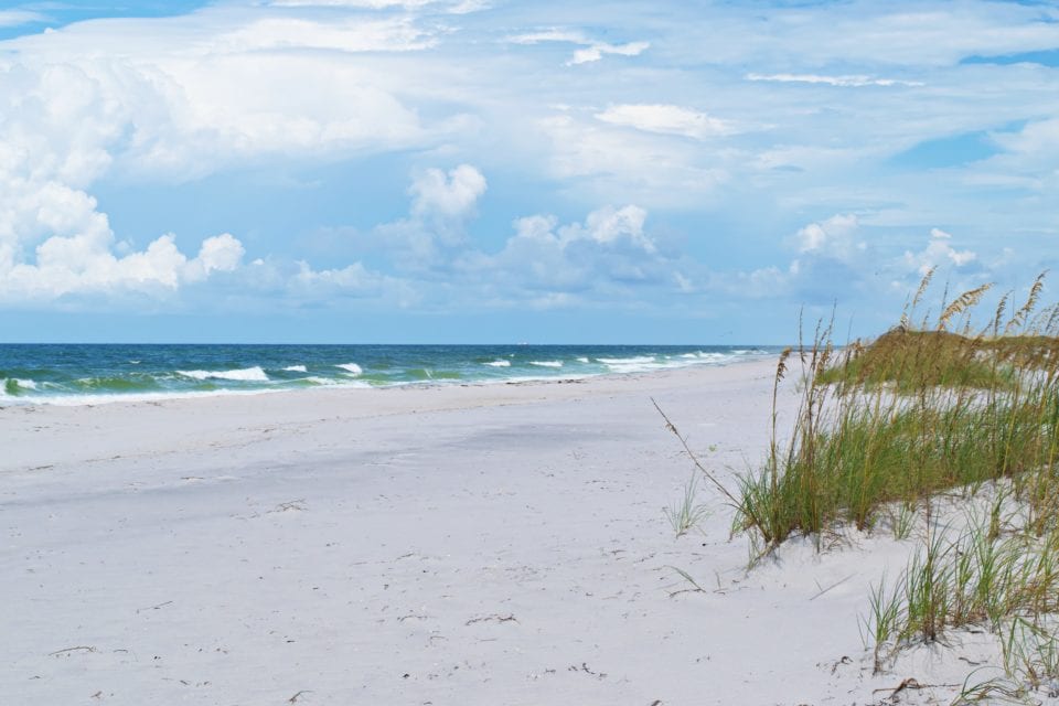 White sugar sand beaches and sea oats on Shell Island beach