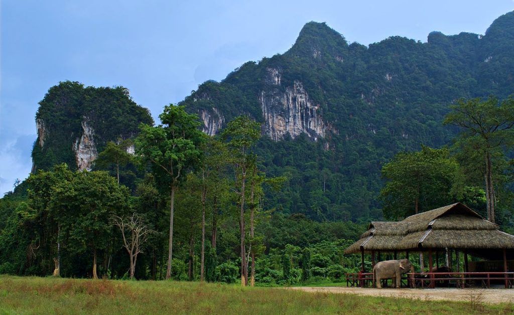 Elephant Hills Elephant Sancuary