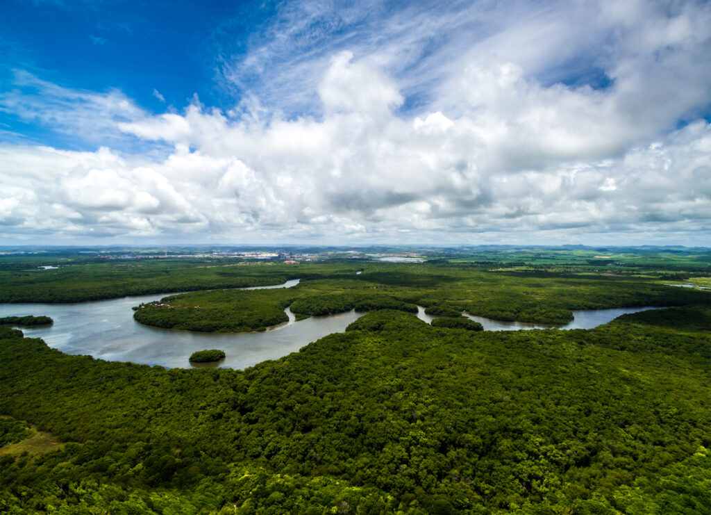 Amazon River