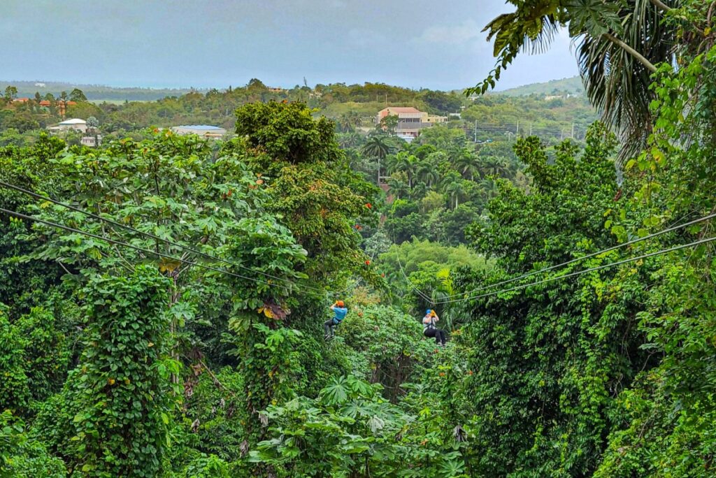 Out of your comfort zone -Rainforest-Zipline-Park-Fajardo-Puerto-Rico