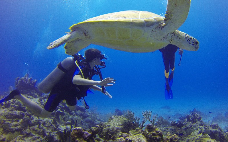 Scuba at Hawaii