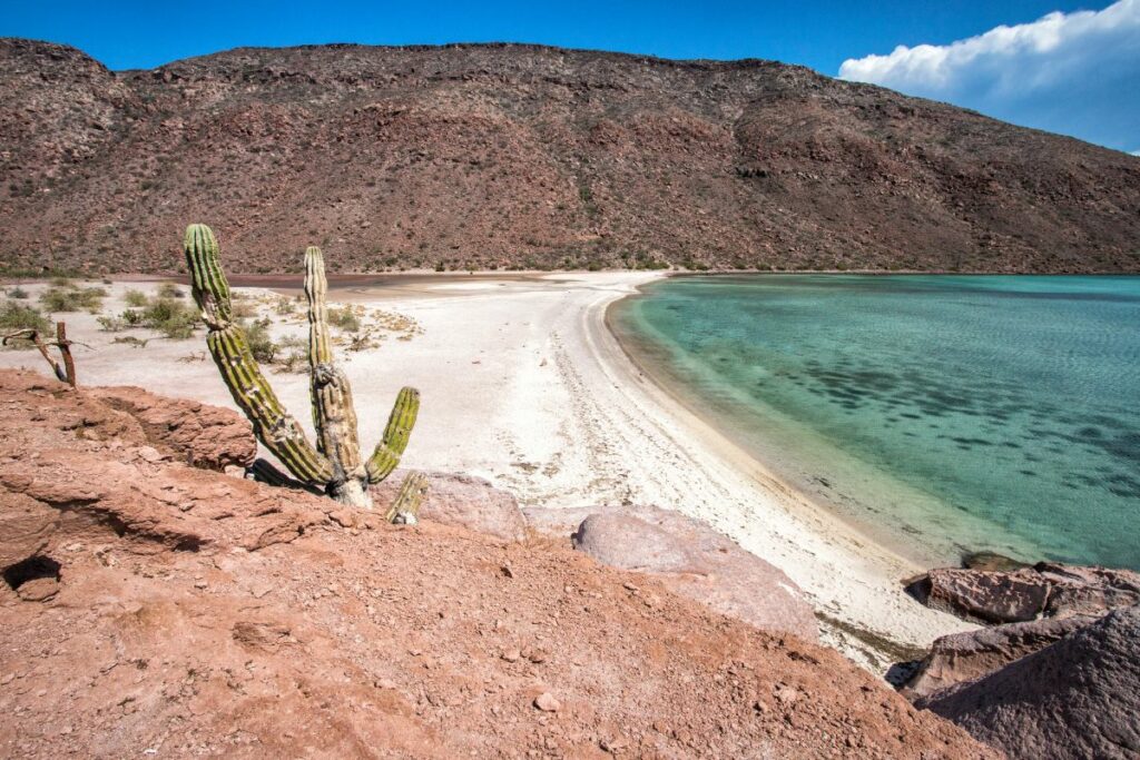 La Paz Mexico via Canva