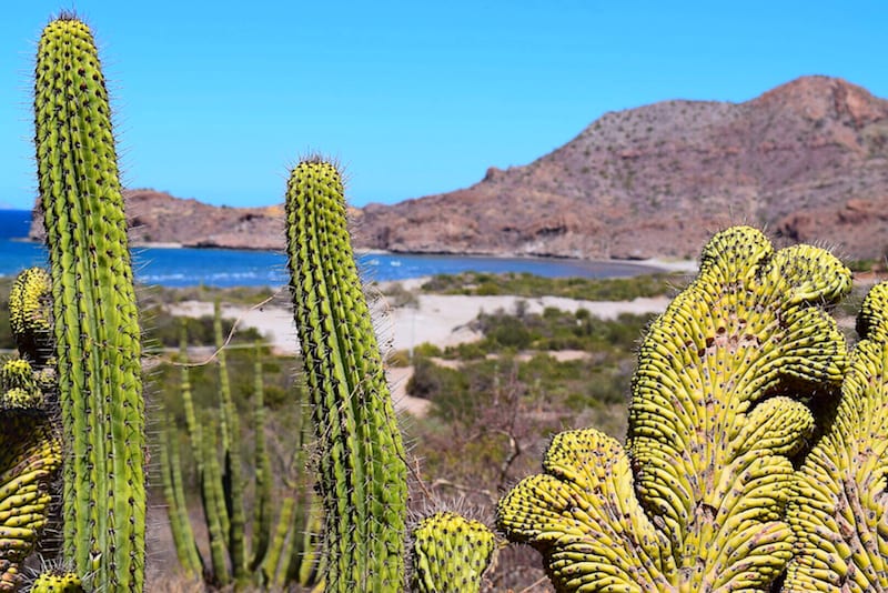 Baja road trip Mexico