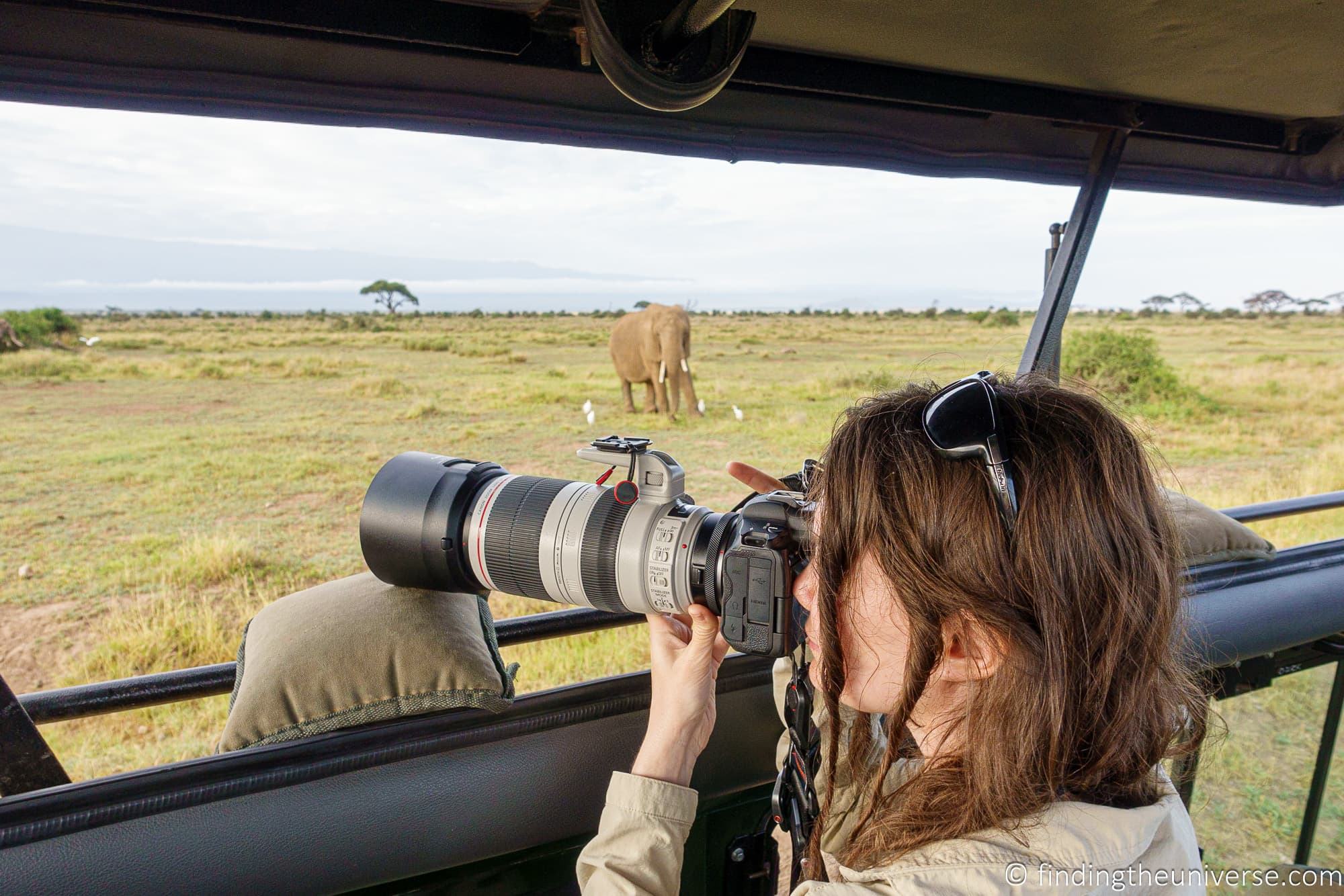 Photography bean bag safari