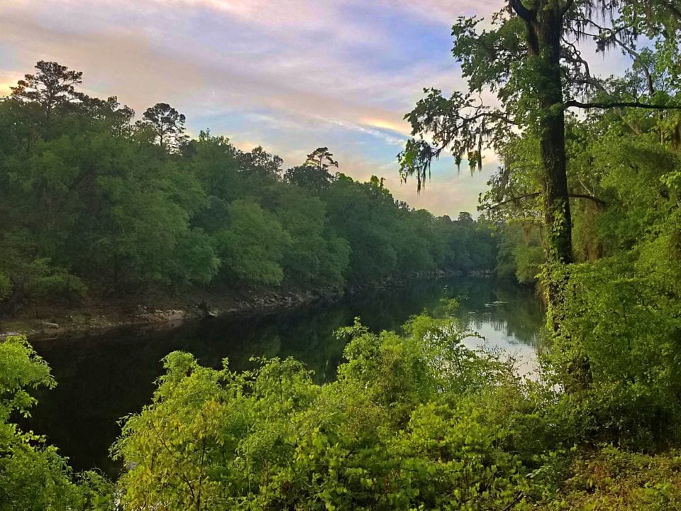 Suwannee River State Park