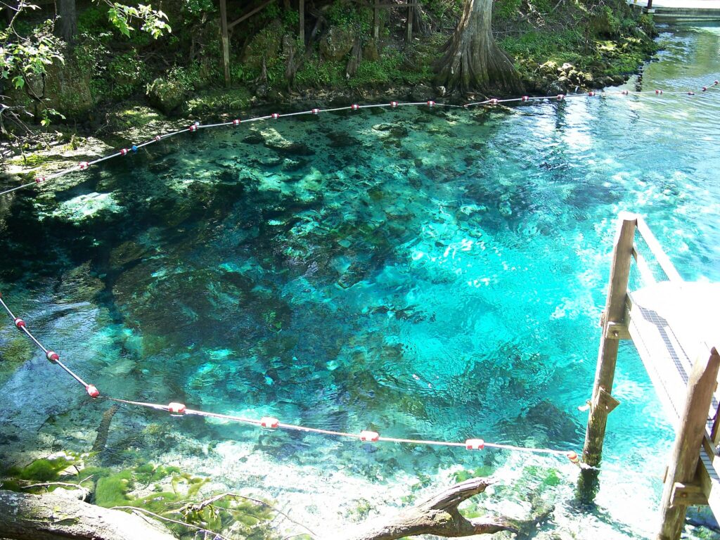 Fanning Springs Park is a perfect place to spend an afternoon or weekend.