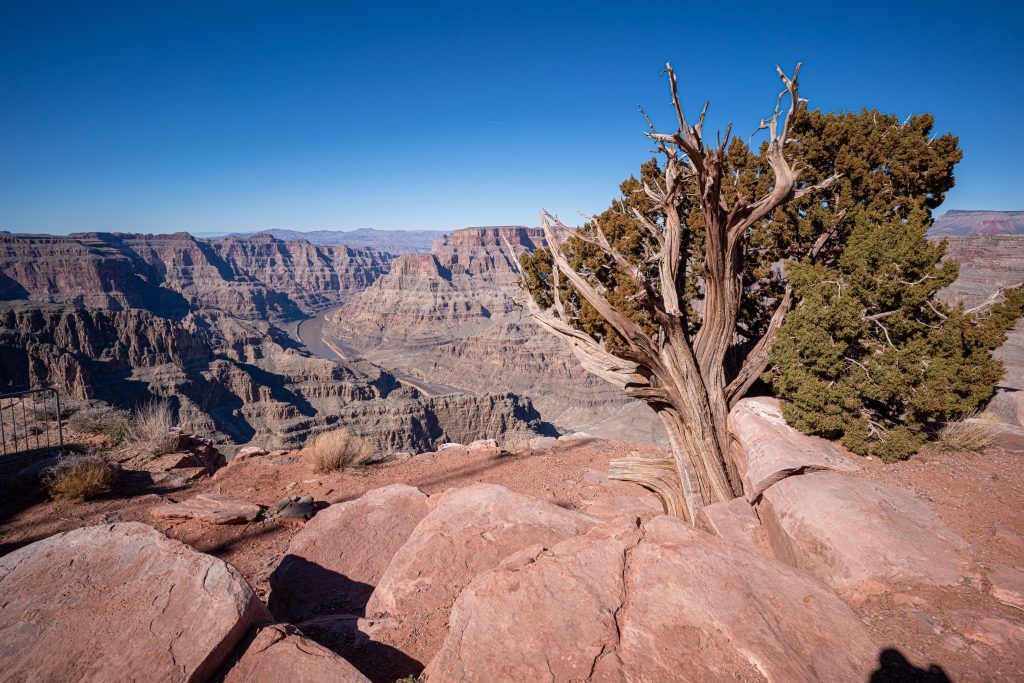 Guano Point at Grand Canyon West