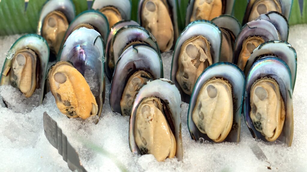 cold new zealand mussels, seafood buffet