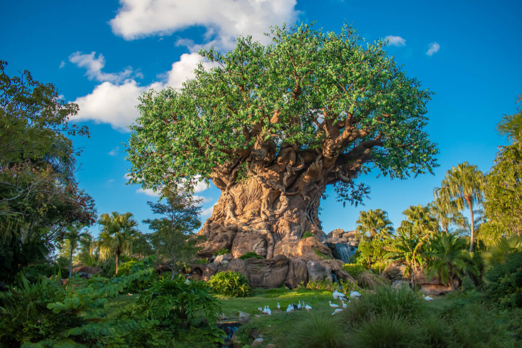 Tree of Life Disney Orlando