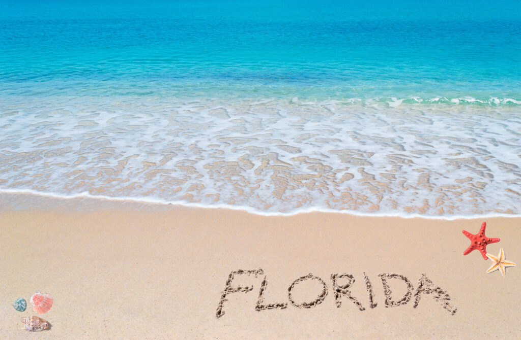 turquoise water and golden sand with shells and sea stars and "florida" written on it