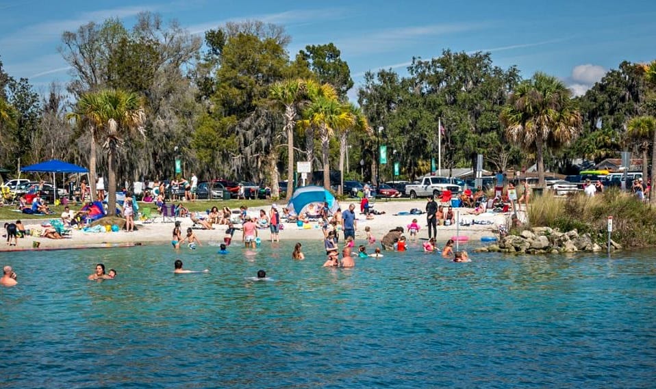 Birds-Underwater-swimming-with-Manatees-in-Florida-Sand-Beach-at-Hunters-Bay via Culture Trekking