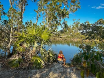 10 Things to Do in Big Pine Key (Itinerary + Tips)