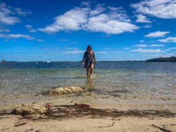 6 Best Beaches in Key Largo (Public + Private)