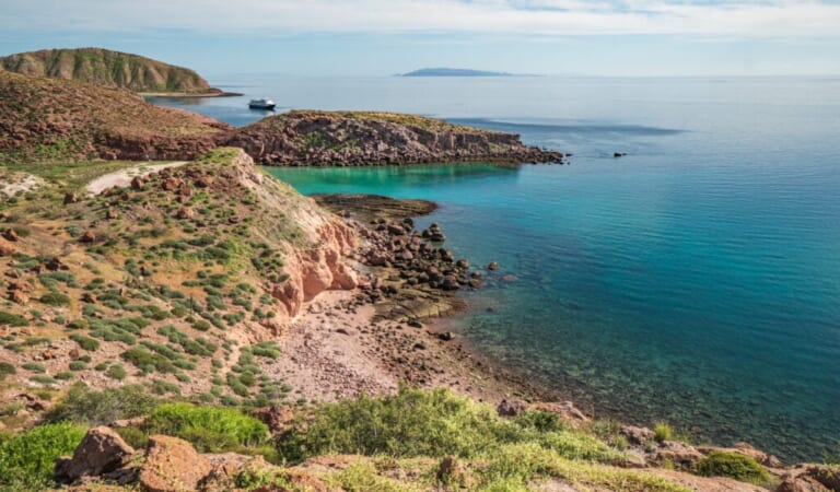 Sea of Cortez Cruises – A Complete Guide to Ports, Routes, and Adventures