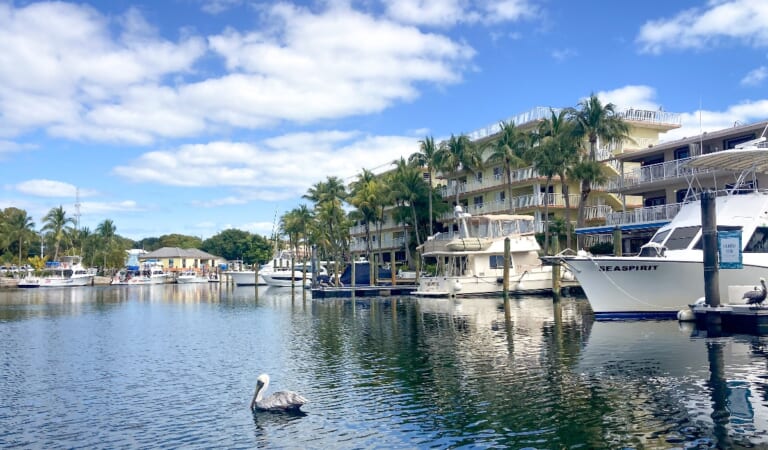 Best Places to Stay in Key Largo (Areas + Hotels)