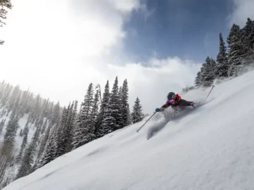 Bluebird powder skiing at Deer Valley at Deer Valley Resort via Deer Valley Resort