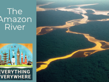 The Amazon River