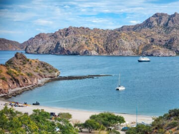 UnCruise Baja - A Concierge Review of Baja California's Adventure Cruise