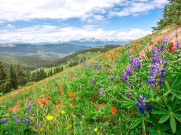 Things to Do at Crater Lake National Park