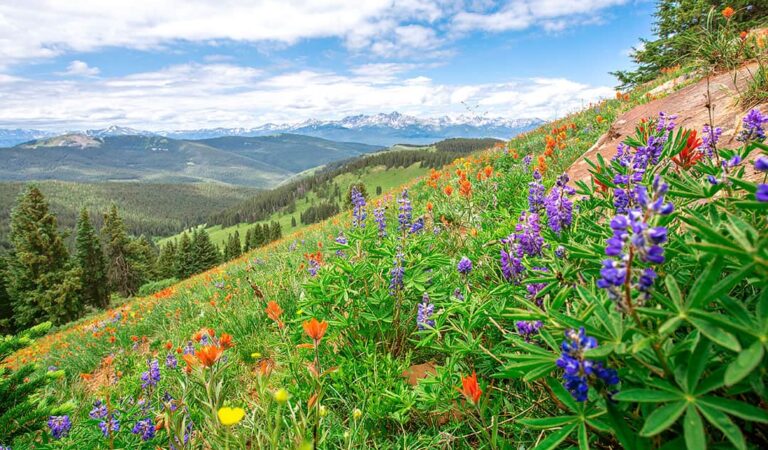 15 Best Places to Visit in July in USA 2023 » Local Adventurer