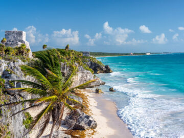 Ruins of Tulum, Mexico and a palm tree overlooking the Caribbean Sea in the Riviera Maya