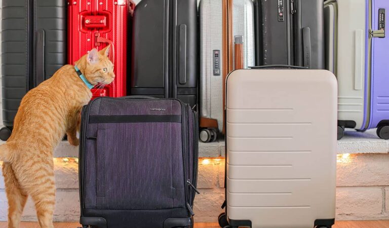 The Best Carry On Luggage 2023 + How to Pick the Right Suitcase for You