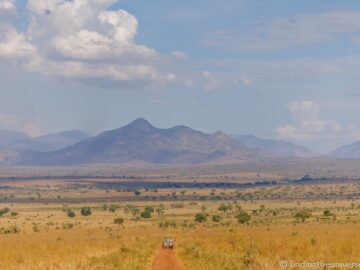 Safari Packing List