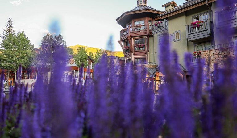 15 Exciting Things to Do in Vail in Summer » Local Adventurer