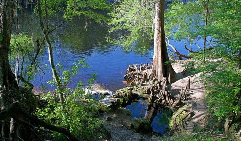 The Suwannee River Hauntings – Based on True Events