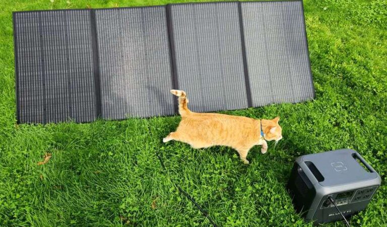 BLUETTI PV350 Solar Panel Review: Powerful, Portable Solar Charging