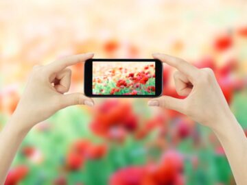 woman taking photo with mobile cell phone