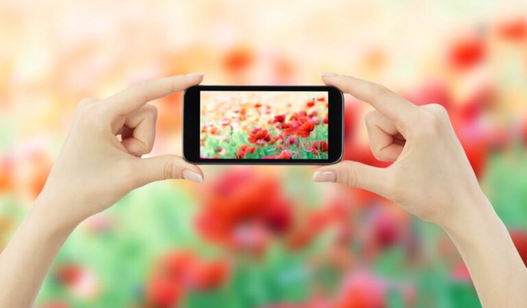 17 Easy Hacks to Transform Your Cell Phone Snaps from Drab to Fab