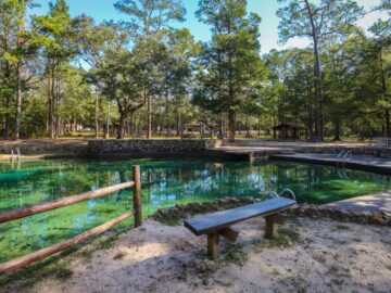 PONCE DE LEON, FLORIDA, UNITED STATES - Oct 12, 2018: Ponce de Leon Springs State Park, Florida - October 2018: Ponce de Leon warm freshwater springs welcome swimmers and visitors inside the state park.