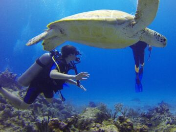 Scuba at Hawaii