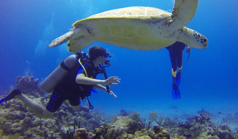 Dive into a world of Water Adventures on your USA Vacation!