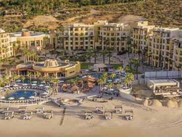 It's Saving the Sea Turtles Season at Los Cabos Resorts