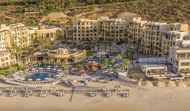 It’s Saving the Sea Turtles Season at Los Cabos Resorts