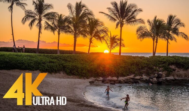 4K UHD Top Oahu Beaches – Hawaii Documentary Film – Part 2 – 1 Hour Video