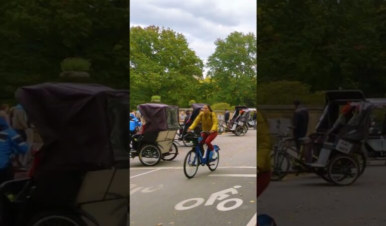 Exploring Central Park on a Monocycle: A Colorful Autumn Tour #shorts