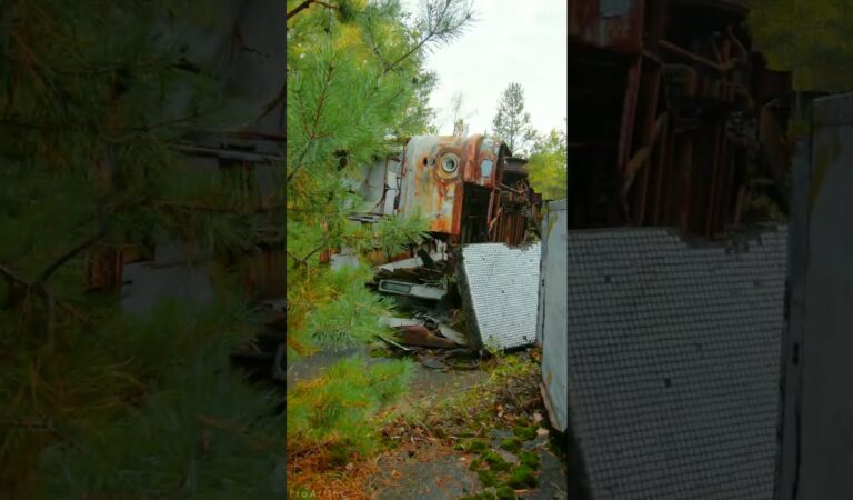 Chornobyl Exclusion Zone – Life after the Tragedy – Walking Tour #shorts