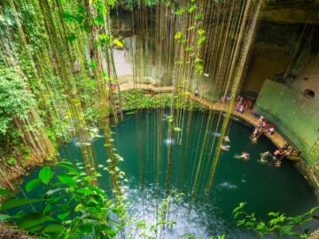 The Best Cenotes in the Riviera Maya