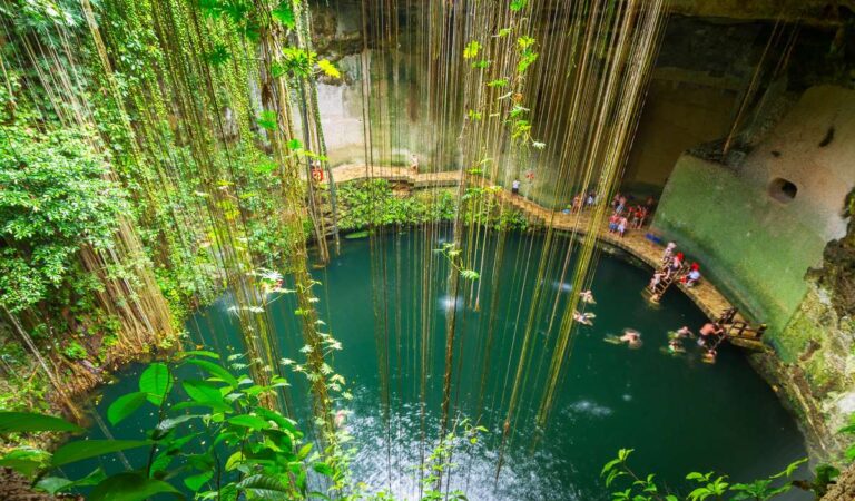 The Best Cenotes in the Riviera Maya