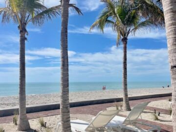 Kayaking With Dolphins At Manasota Key Resort