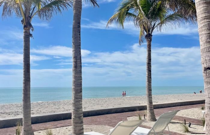 Kayaking With Dolphins At Manasota Key Resort