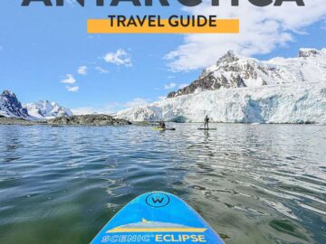 things to do in antarctica