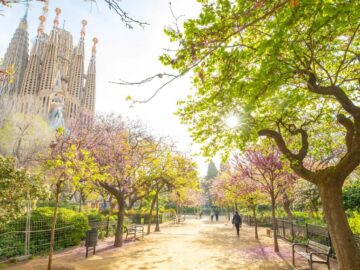 The Best Walking Tours in Barcelona