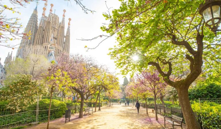 The Best Walking Tours in Barcelona