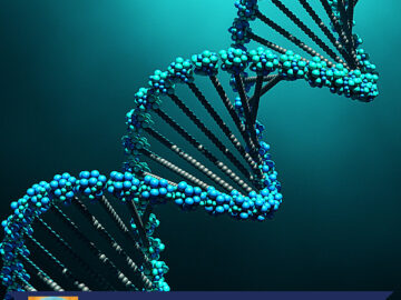 The Discovery of DNA